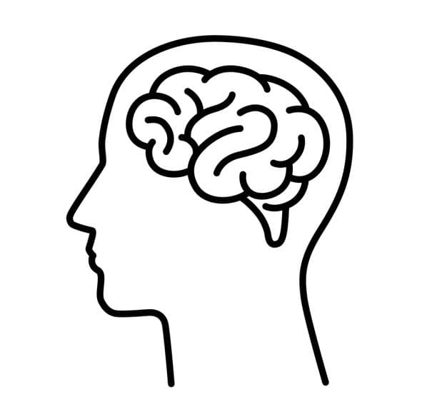 Neurological Rehabilitation