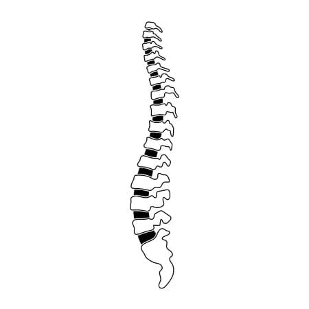 Spinal Rehabilitation